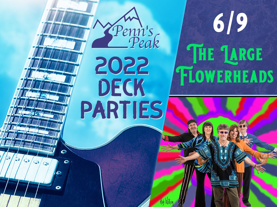 The Large Flowerheads | Penn's Peak